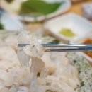 황금손 유쾌한 회 세꼬시 이미지