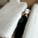왕굼부리