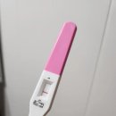 제니스로뎀약국 | (임신 준비 ⑤)_대구 효성병원 인공수정 1차 마지막 - 피검사 결과 발표