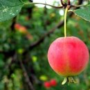 수레세탁소 이미지