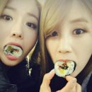 초롱김밥