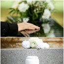 상주벌초대행