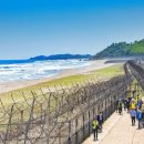고성 DMZ 평화의 길 금강산 전망대 코스, 21일부터 여름 특별 운영 이미지