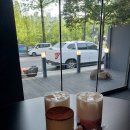 창원 가로수길 티라미수 맛집? 나인배치커피 가본 솔직 후기
