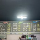 꿀돼지세상