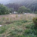 산으로 캠핑장 이미지