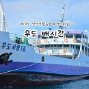 우도주차장 | 제주도 성산항 우도 배시간표 배편 주차장 요금 및 탑승 후기