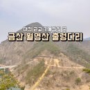 (행정용)아인사거리 | 🪜뚜벅이로 금산 월영산 출렁다리 가는 법 및 후기