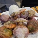 조개돈구이 이미지