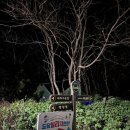 태안 도담빌리지 단체 키즈 갯벌 가족 수영장 | 태안 청포대키즈펜션 가족펜션 도담빌리지