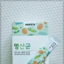 라이펙스 이미지