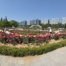 🐣25. 4.25~5.11고양 국제꽃박람회 이미지