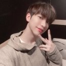 안농 Daum카페