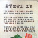 할망네돔베고기
