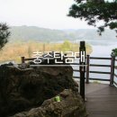 추억여행7080 이미지