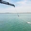 인천광역시 보건환경연구원 앞 이미지