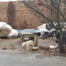 크로바농장 이미지