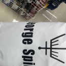 횡성시니어클럽 | 횡성 골프샵 경량 골프백 추천 조지스피리츠 캐디백 실제 사용후기 장점 총정리