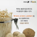 양송이 카카오 검색결과