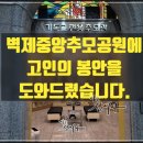 중앙장의사 이미지