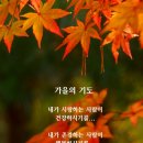 보고싶은얼굴