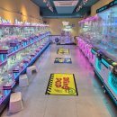 블링팝 연신내 이미지