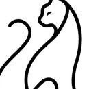 테일링커피로스터스 네이버블로그