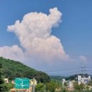 바람의속삭임 이미지