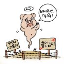 영리한 코로나 이미지