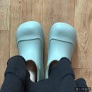 조씨오리목 | 6-7월의 이것저것(홍대 조씨야보, 제주 휴애리, 성수가조쿠)