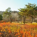 가원습지생태자연공원 이미지