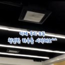 백운나래태권도 이미지