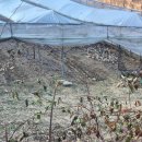 포도공인중개사사무소 이미지