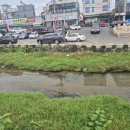 홍주천막사 이미지