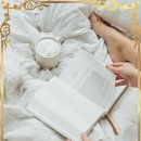 이상한 식물나라 이미지