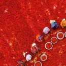 칠리농장 이미지