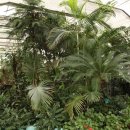 조산공원길 이미지