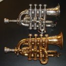 The Development of the Piccolo Trumpet 이미지