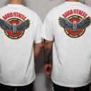 다윗 피트니스 이미지