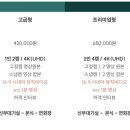 [W03💍] 본식 DVD 스냅스타 예약 후기 드뉴웨딩 (추천인 할인)
