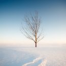 자연의 꿈 이미지