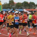 새만금농장 | 2024 김제새만금지평선 마라톤 후기