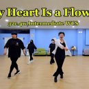 라인댄스 (중급A) 이미지