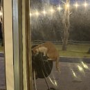 위드힐링 이미지