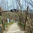 봉화산 유아숲체험원 이미지
