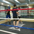 미스터 복싱 짐 이미지