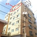 곰달래로(북측) 이미지