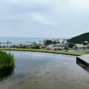 A Spirit of Journey(에이 스피릿 오브 저니) 이미지