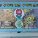 신상계초교 이미지