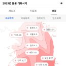 2023년 봄꽃 개화시기 이미지